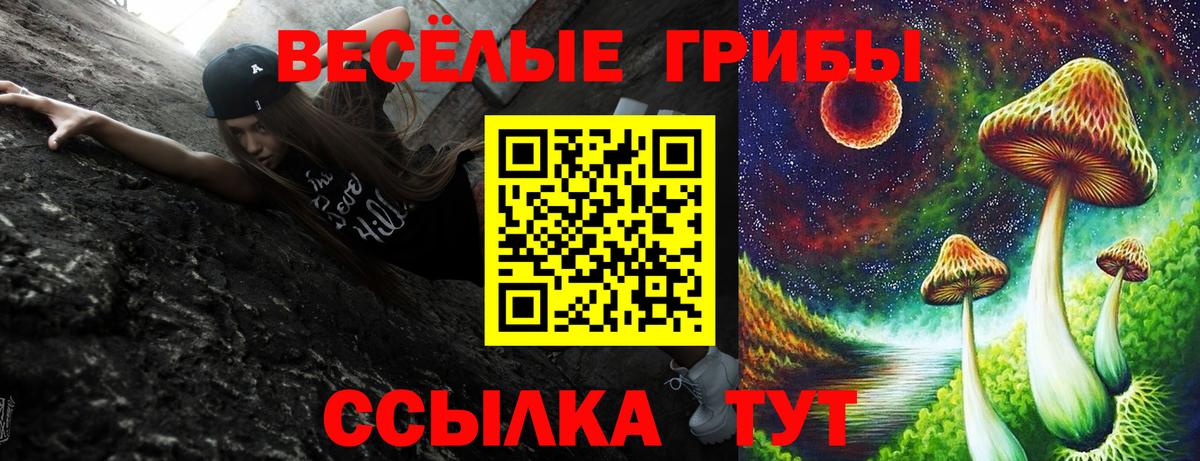 Псилоцибиновые грибы Psilocybe Мариинск